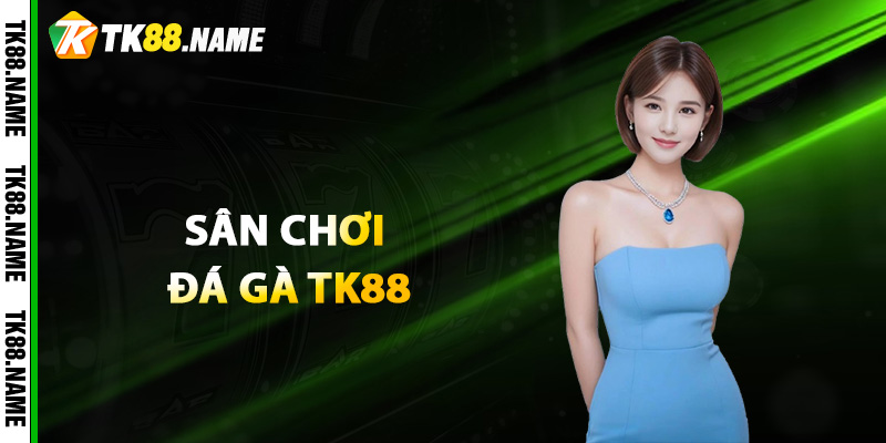 Giới Thiệu Tổng Quan Sân Chơi Đá Gà Tk88